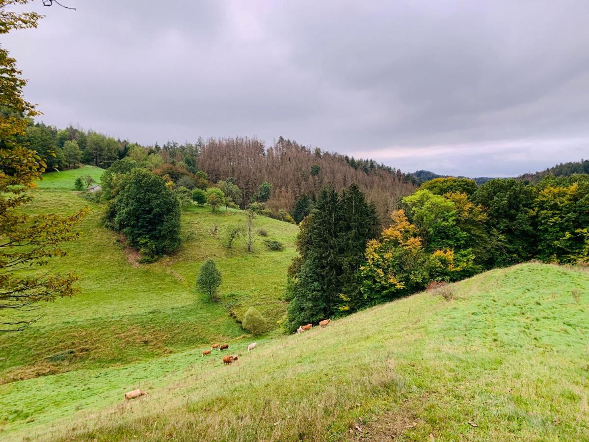 Naturhof Kluge Saupsdorf Eksteriør bilde