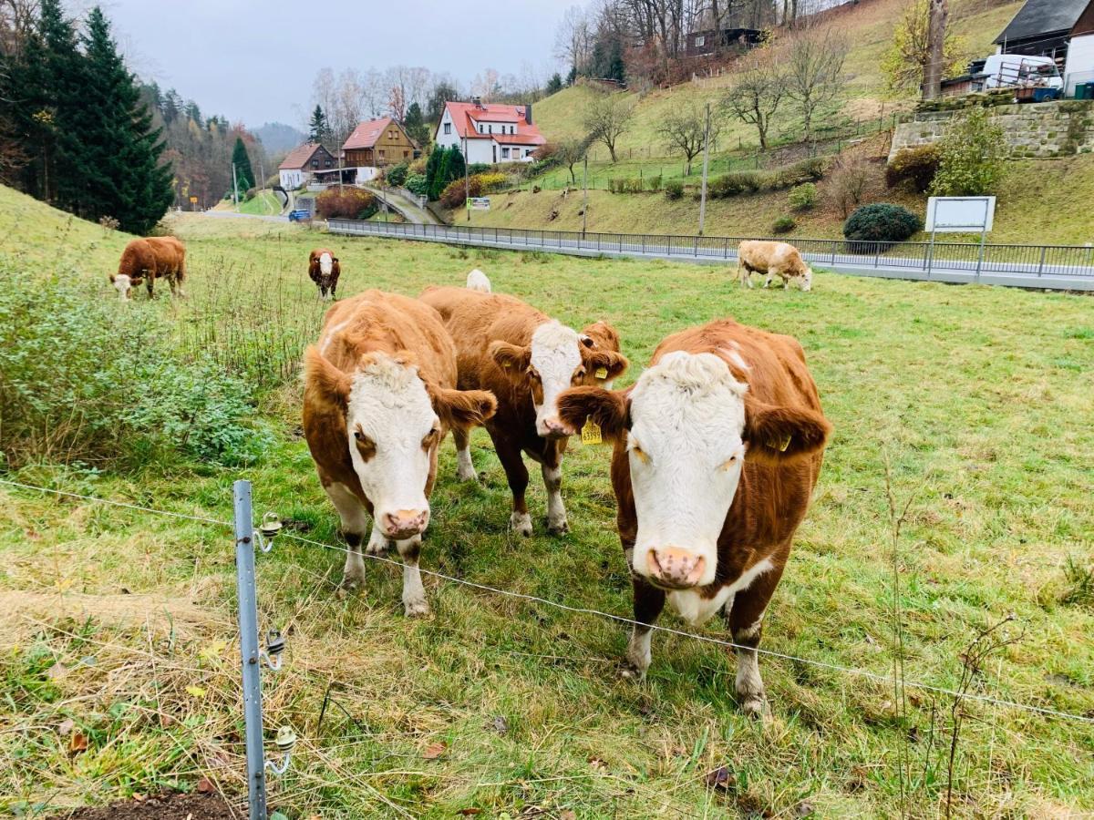 Naturhof Kluge Saupsdorf Eksteriør bilde