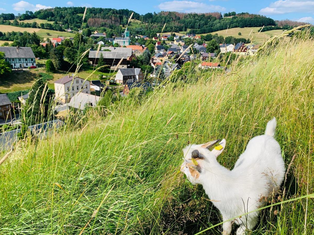 Naturhof Kluge Saupsdorf Eksteriør bilde