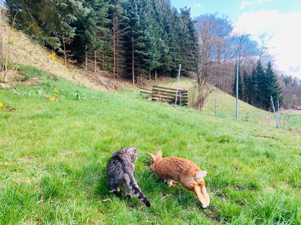 Naturhof Kluge Saupsdorf Eksteriør bilde